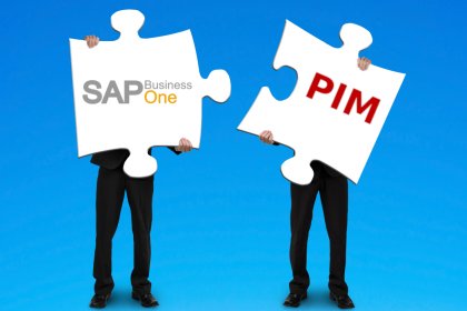 Integración de SAP Business One PIM