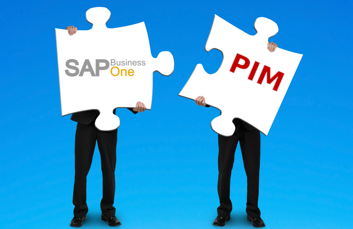 SAP Business One PIM Integratie