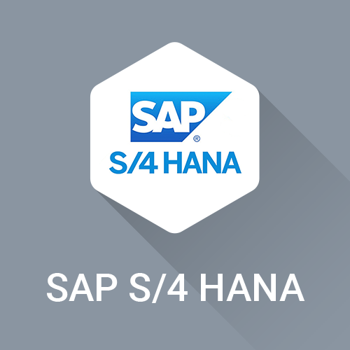 SAP S4 Hana PIM Connector for AtroPIM